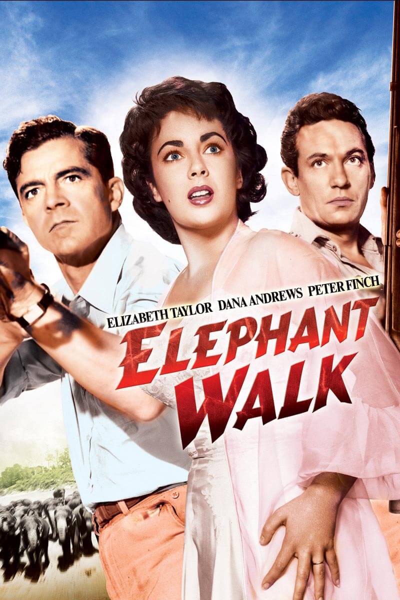 Elephant Walk - WATCH IT ON DIGITAL