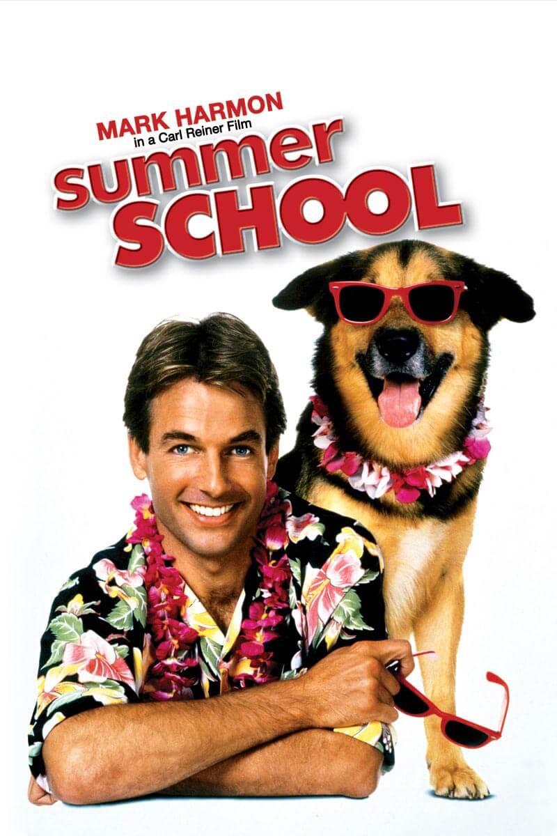 \, image size:800x1200