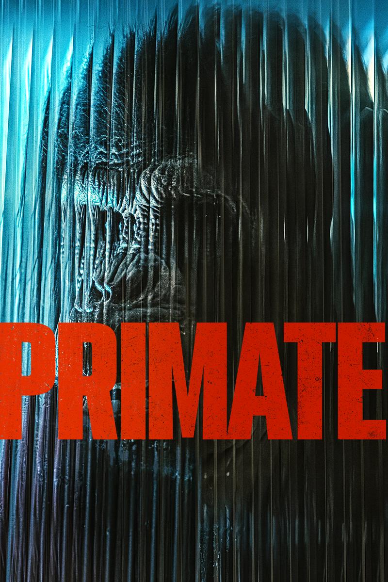 Watch New and Classic Movies on DVD/Blu-ray, 4K UHD & Streaming