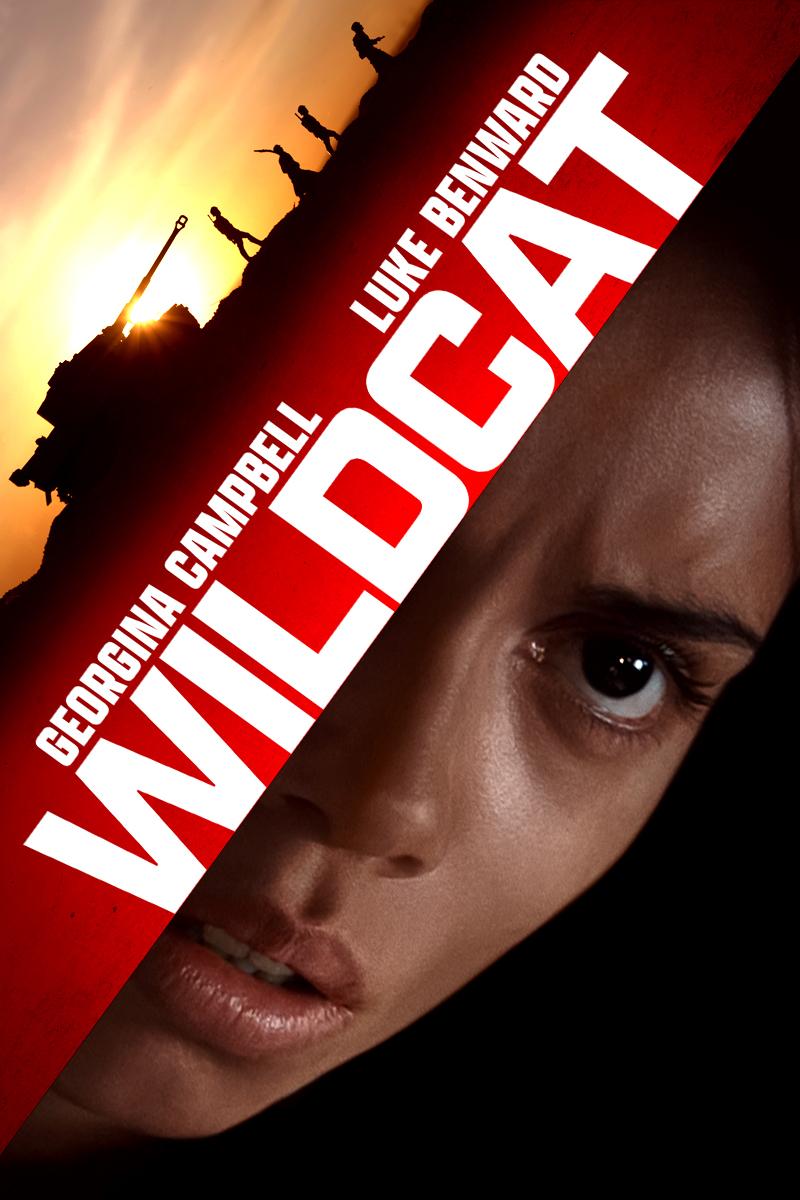 Wildcat